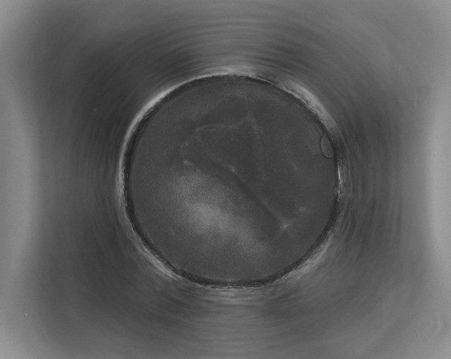 X0000113080780200908281222