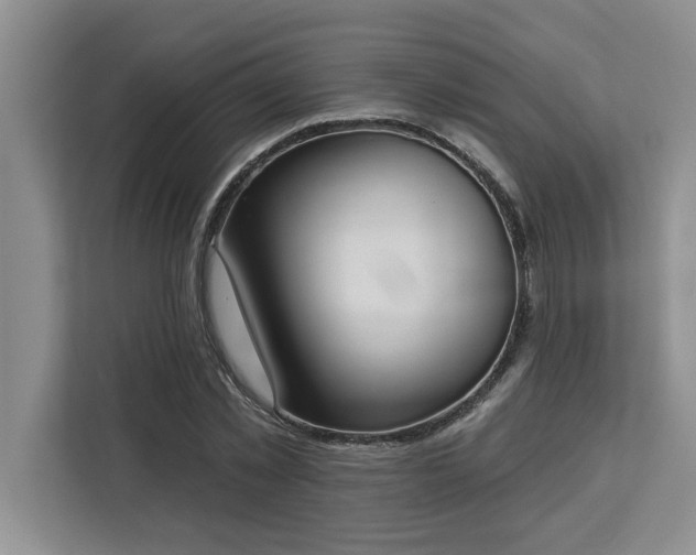 X0000113080781200908281222