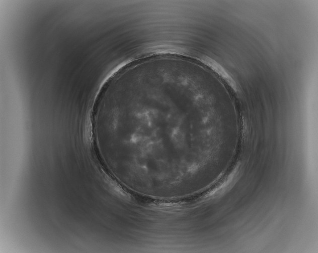 X0000113080782200908281222