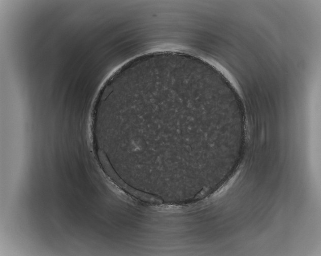 X0000113080783200908281222