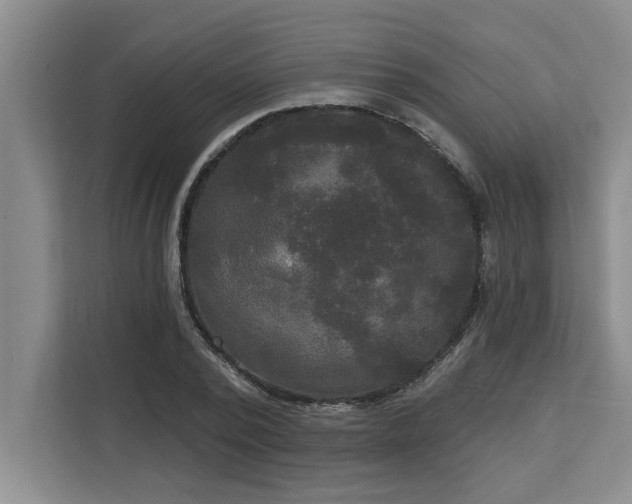 X0000113080784200908281222