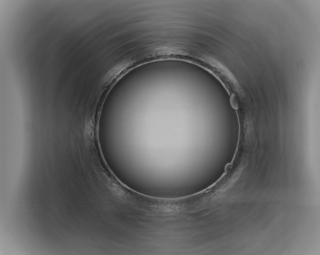 X0000113080785200908281222