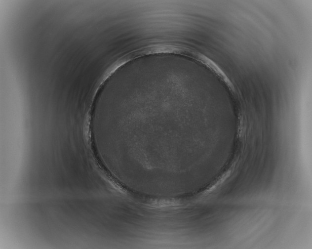 X0000113080786200908281222