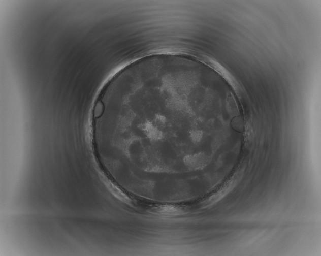 X0000113080787200908281222