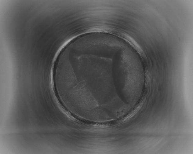 X0000113080788200908281222