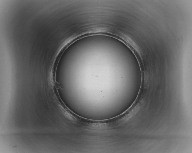 X0000113080789200908281222