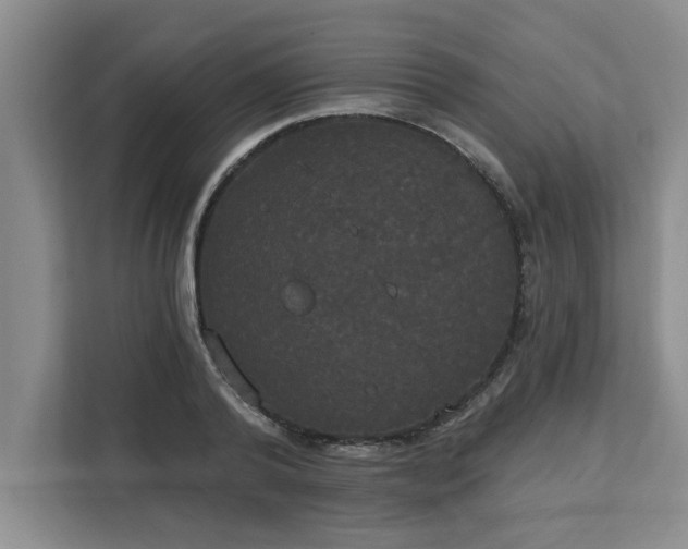 X0000113080792200908281222