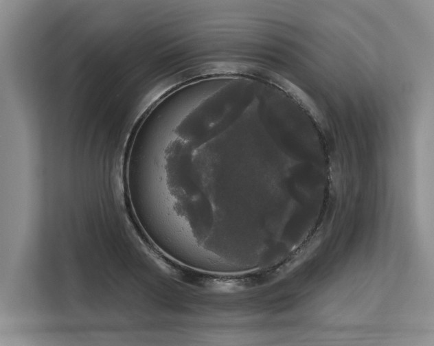 X0000113080794200908281222