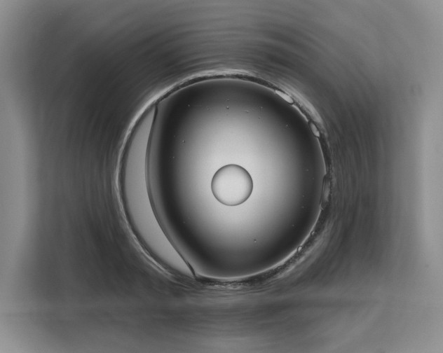 X0000113080797200908281222