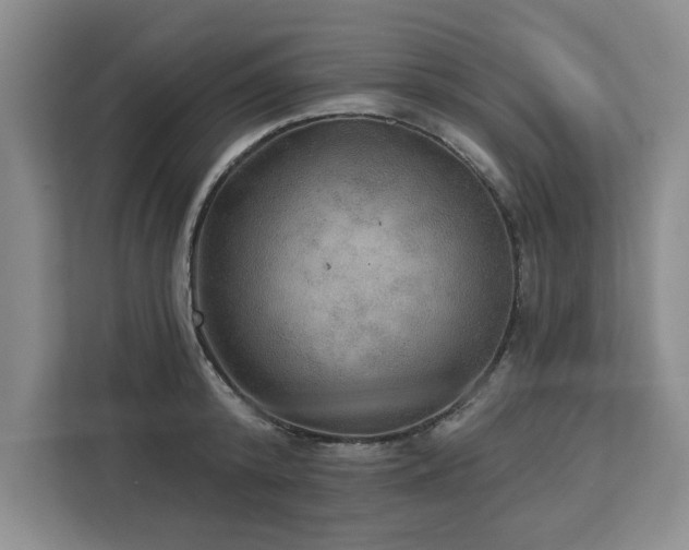 X0000113080800200908281222