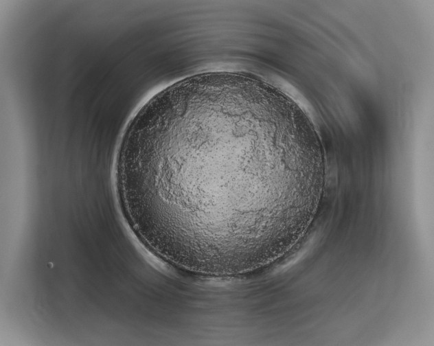 X0000113080803200908281222