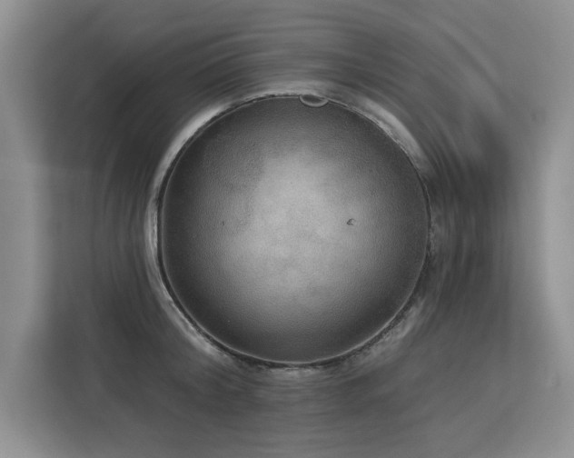 X0000113080804200908281222