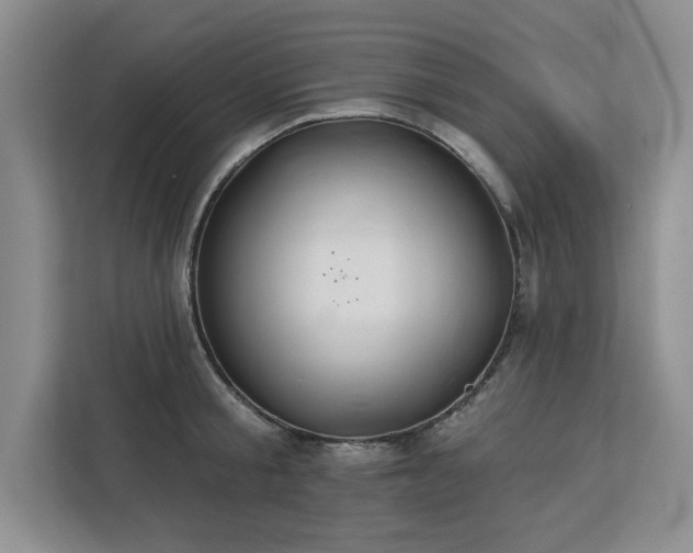 X0000113080805200908281222