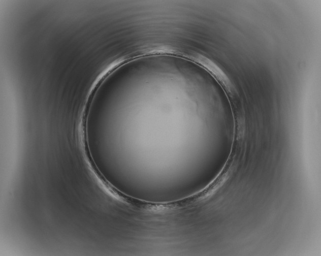 X0000113080806200908281222