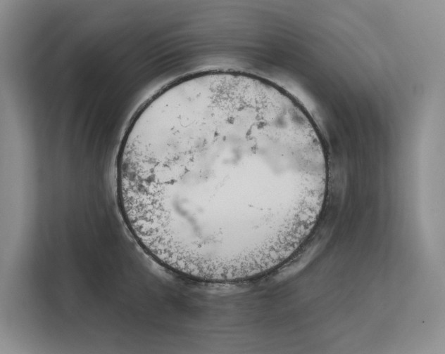 X0000113080807200908281222