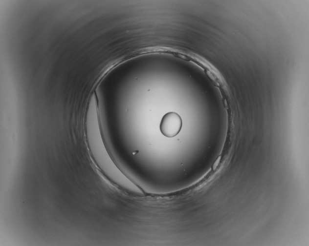 X0000113080809200908281222