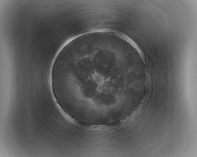 X0000113080811200908281222