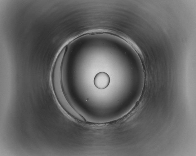 X0000113080813200908281222