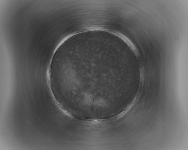 X0000113080814200908281222