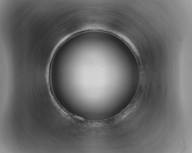 X0000113080815200908281222