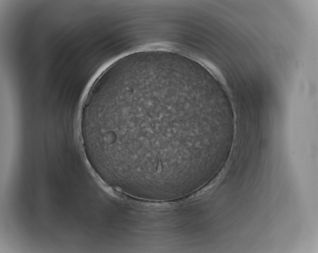 X0000113080816200908281222