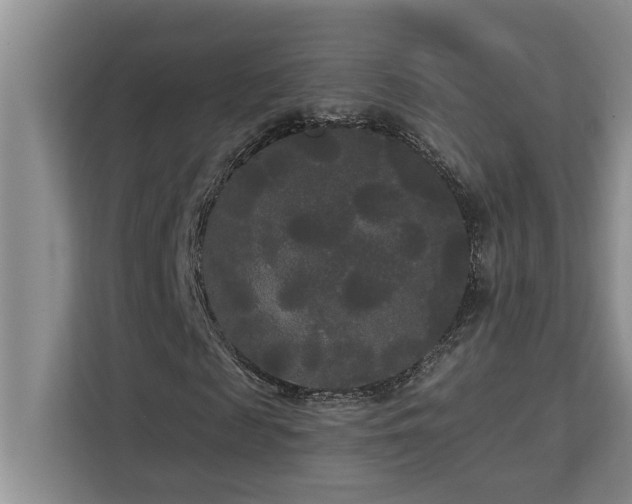 X0000113080817200908281221