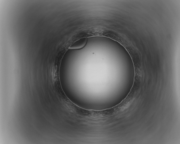 X0000113080818200908281221