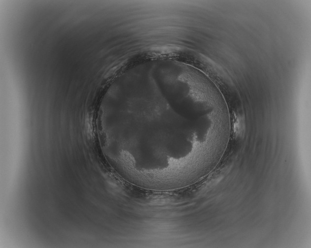 X0000113080819200908281221