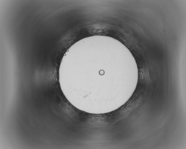 X0000113080820200908281221