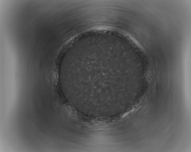 X0000113080821200908281221