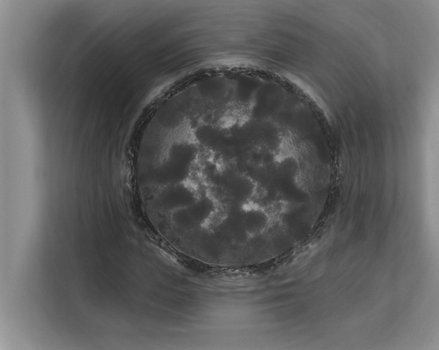 X0000113080823200908281221