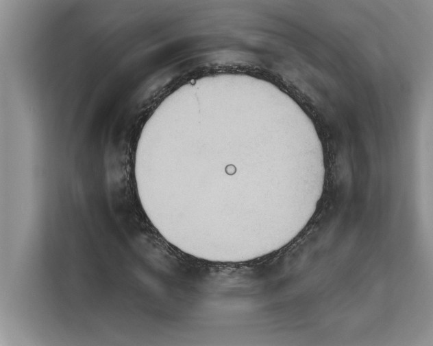 X0000113080824200908281221