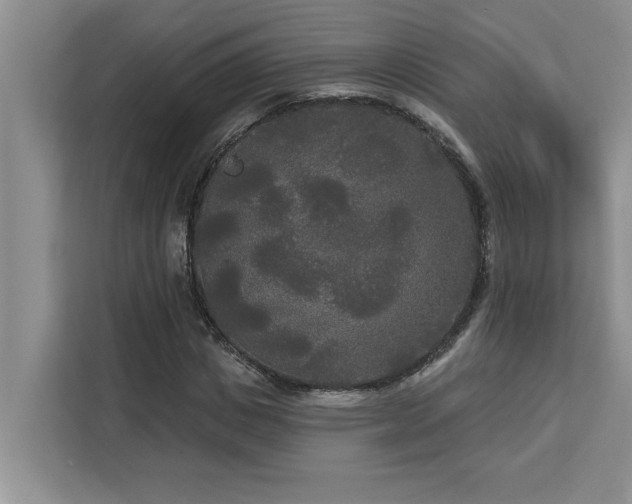 X0000113080825200908281221