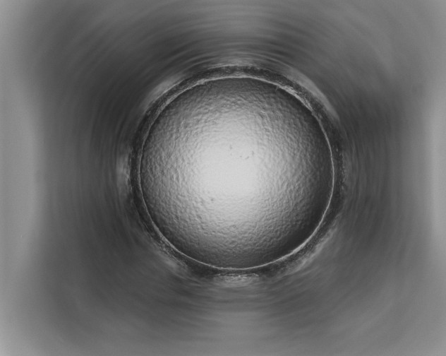 X0000113080826200908281221