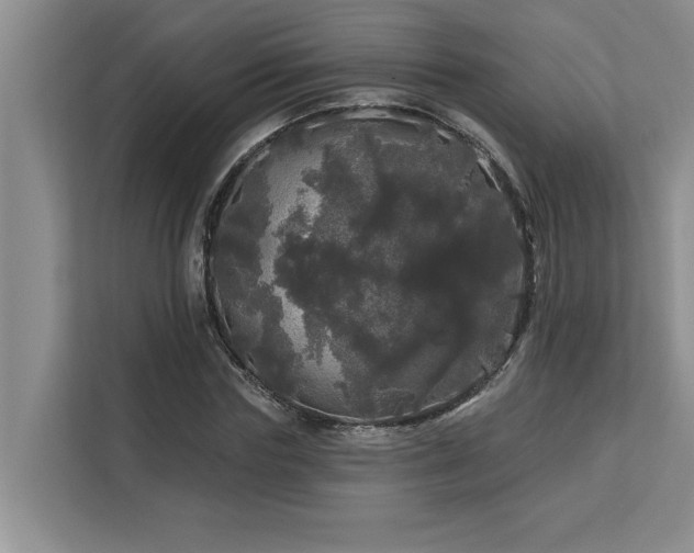 X0000113080827200908281221