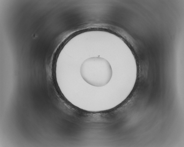 X0000113080828200908281221