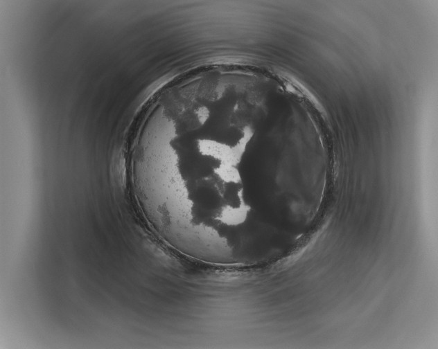 X0000113080829200908281221