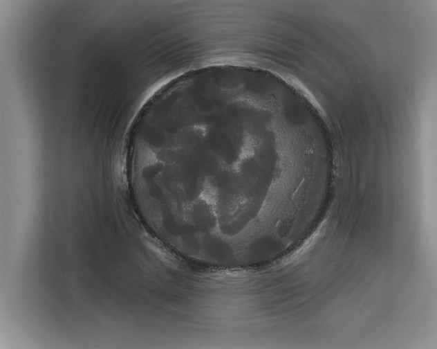 X0000113080830200908281221