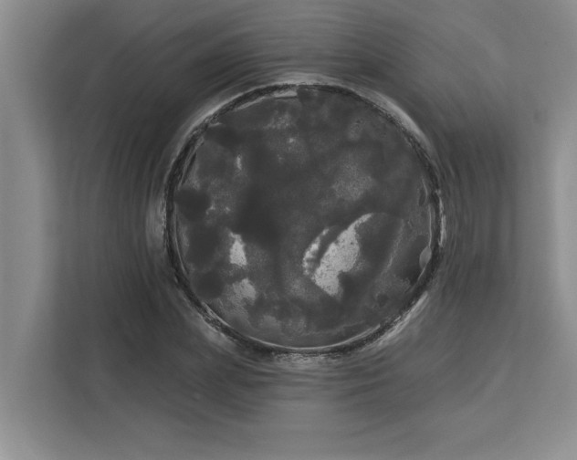 X0000113080831200908281221