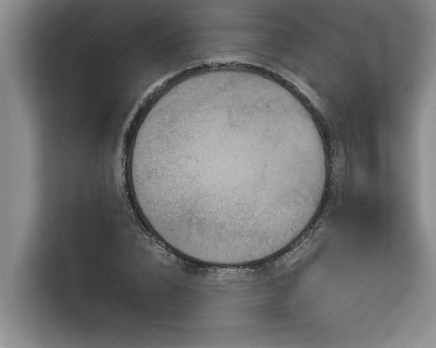 X0000113080832200908281221