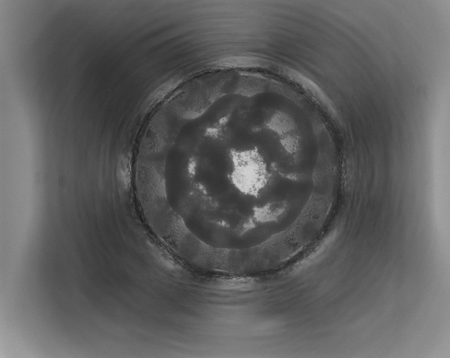 X0000113080833200908281221