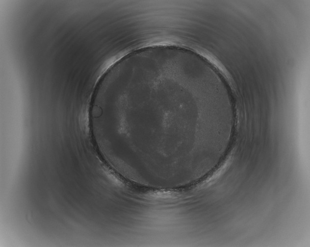 X0000113080834200908281221