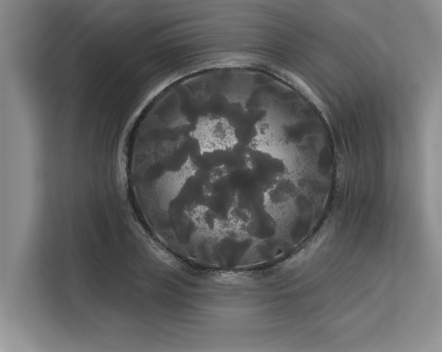 X0000113080835200908281221