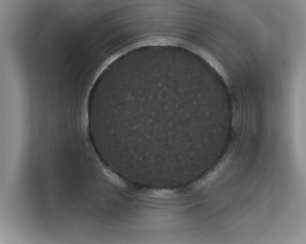 X0000113080837200908281221