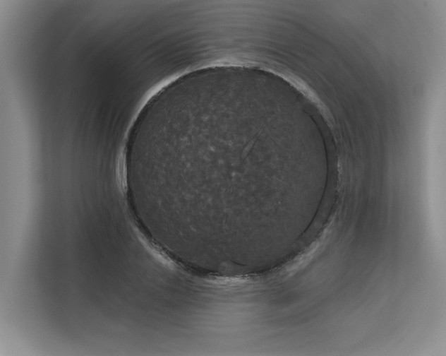 X0000113080838200908281221