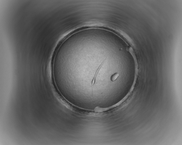 X0000113080840200908281221