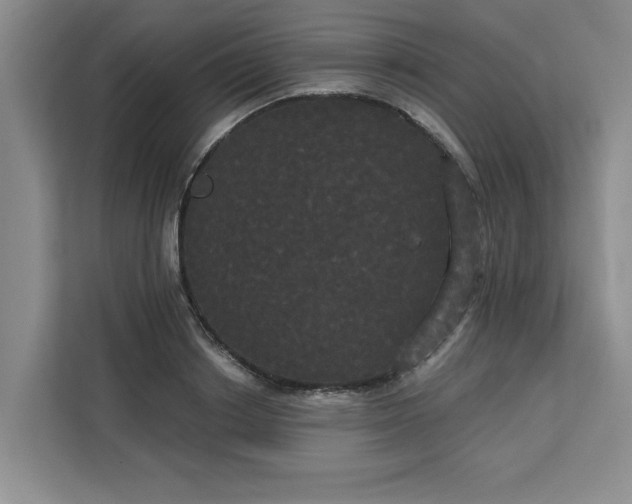 X0000113080842200908281221