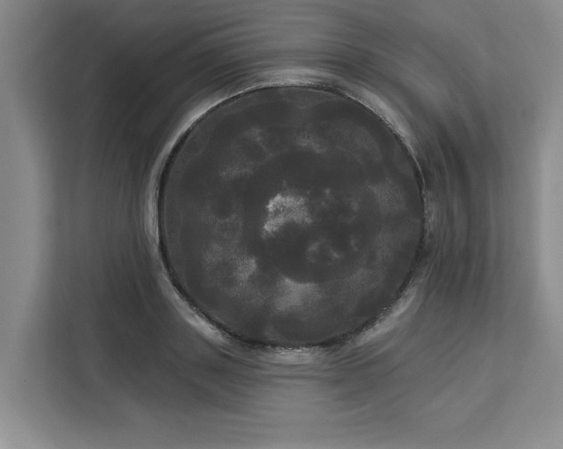 X0000113080843200908281221