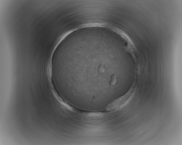 X0000113080844200908281221