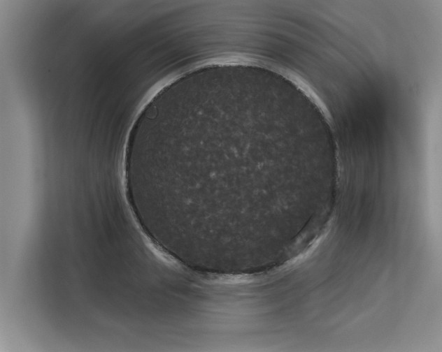 X0000113080845200908281221